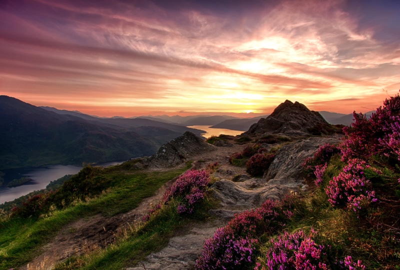 grass, nature, flower, Scotland, non-urban scene, flowers, water, environment, mountain range, outdoors, cloud - sky, the sky, no people, 4K, sky, mountain