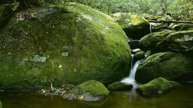 rock, roaring fork, mountains, fork, great smoky mountains, smoky, park, national park, green, tennesse, roaring, 1080P, great, national, nature, 1920x1080