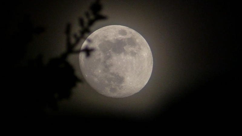 space exploration, circle, planetary moon, moon surface, goodnight, craters, astronomy, glow, tranquility, night time, spring, no people, tree, majestic