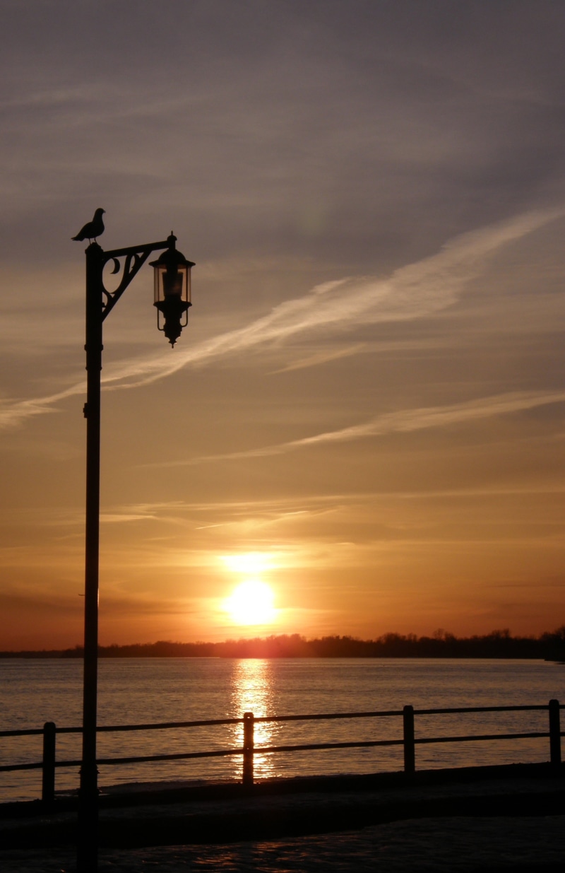 goodnight, 2K, horizon over water, wooden post, perched, sky, outdoors, sea, scenics - nature, beauty in nature, beach, near, silhouette, bird, river
