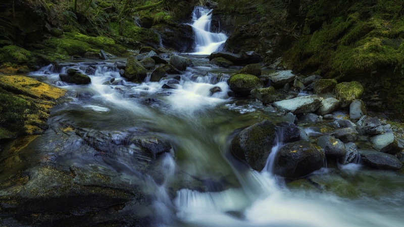 stream, rainforest, flowing, outdoors, stream - flowing water, plant, mobile, green, blurred motion, long exposure, 5K, waterfalls, tree, mos, solid, scotland