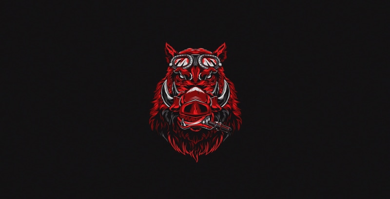 1080P, by CHE | ART STUDIO, Art, Background, Muzzle, Animal, CHE | ART STUDIO, Design, Face, Illustration, Vector, Minimalism, Boar