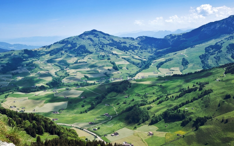 plant, green color, land, sky, Ebenalp, mountain, landscape, tranquil scene, day, remote, 1080P, tranquility, nature, beauty in nature, tree, non-urban scene