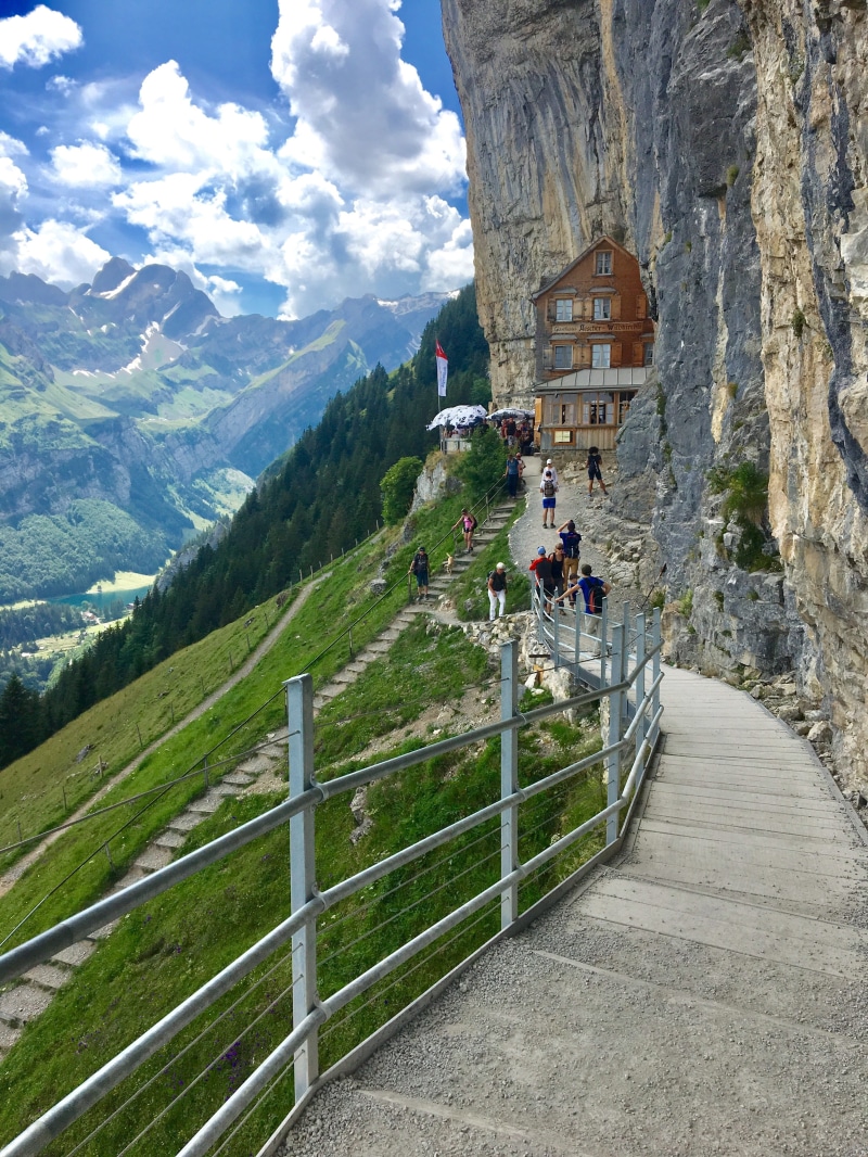 europe, flower, building exterior, switzerland, people, eat, cow, aescher, heidi, restaurant, landscape, mountain, vacations, real people, 4K, diestel