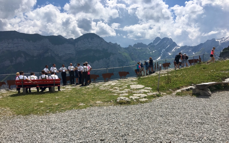 europe, mountain, day, leisure activity, lifestyles, eat, men, sculpture, plant, large group of people, hike, 4K, restaurant, man, landscape, cow, säntis