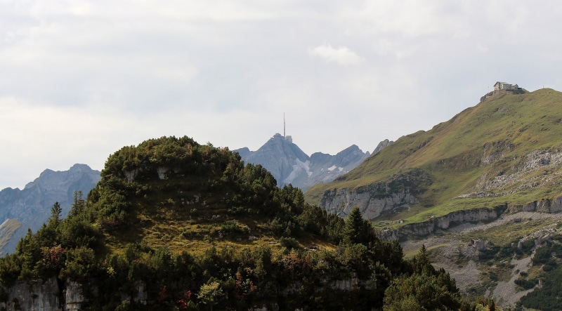 4K, plant, coniferous tree, sky, mountains, travel destinations, swiss alps, pine tree, day, scenics - nature, appenzell, mountain peak, ebenalp, tree