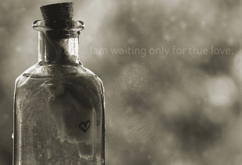 searching, love, food and drink, cold temperature, close-up, indoors, single object, science, 1080P, i am waiting only for true love, text, healthcare and medicine