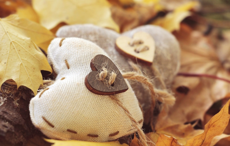 dry, high angle view, guestbook, land, map, fabric heart, plant part, reptile, postcard, close-up, deco, beige, leaf, change, focus on foreground, heart