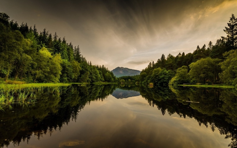 Scotland, Glencoe Lochan, Earth, Tree, 1080P, Wood, Reflection