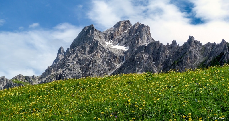 rock - Object, alps, peak, Di, Alto Adige, flowers, outdoors, Sexten, San Candido  Innichen, european Alps, meadow, Dolomites, summer, nature, near, Croda