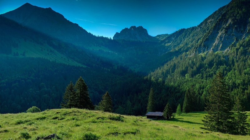 landscape, mountain Range, grass, sunlight, mountain Peak, green, hiking, tree, european Alps, europe, trees, idyllic, cloud - Sky, austria, 1080P, nature