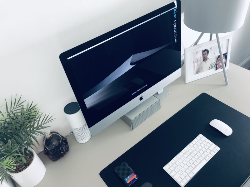 renfrewshire, 4K, computer, connection, hardware, desk, plant, united kingdom, screen, computer monitor, communication, person, technology, pc, white