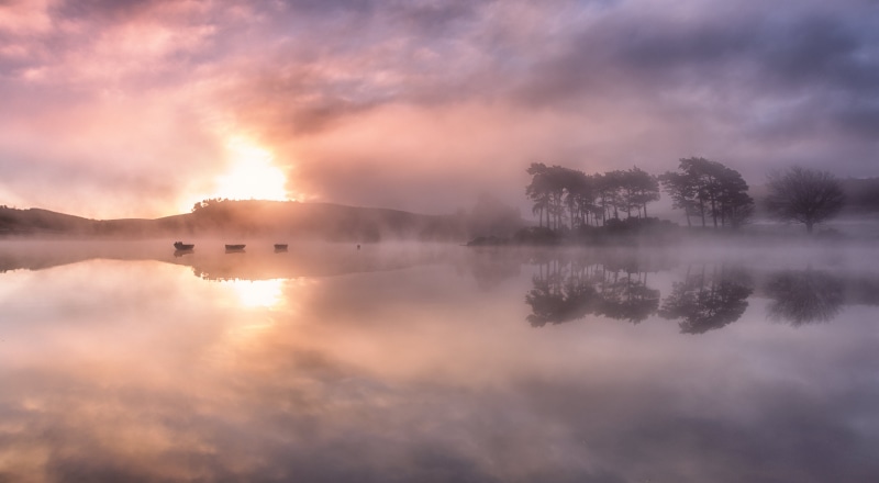 scenics, lake, outdoors, nature, tree, sky, forest, reflection, 5K, Sunrise, photo, beauty In Nature, water, Landscape, morning, mist, tranquil Scene