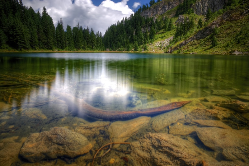 long  exposure, mountains, sea, green, trees, rock - Object, scenics, water, picturesque, lake, beauty In Nature, 5K, reflections, forest, balkans, river