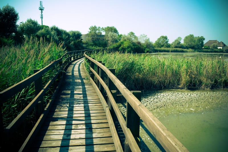 outdoors, nature, grass, lagunare, FujiFilm, brown, travel, bridge - Man Made Structure, wooden bridge, marano, Fuji, 5K, X-T1, wooden, lake, summer, ngc