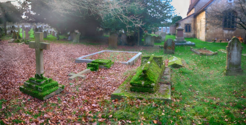 graveyard, ground, old, growth, flower, green color, moss, bright, residential district, temple, architecture, garden, front or back yard, grave, built structure
