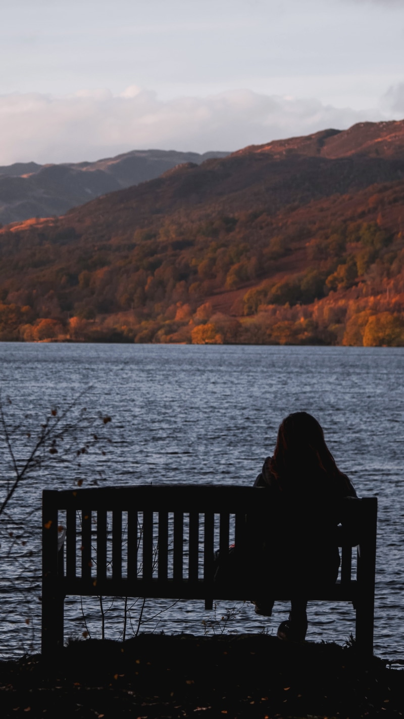 lake, seat, tranquility, panasonic, rear view, forest, g7, callander, scottish loch, nature, beauty in nature, loch, scotland, scenics - nature, idyllic