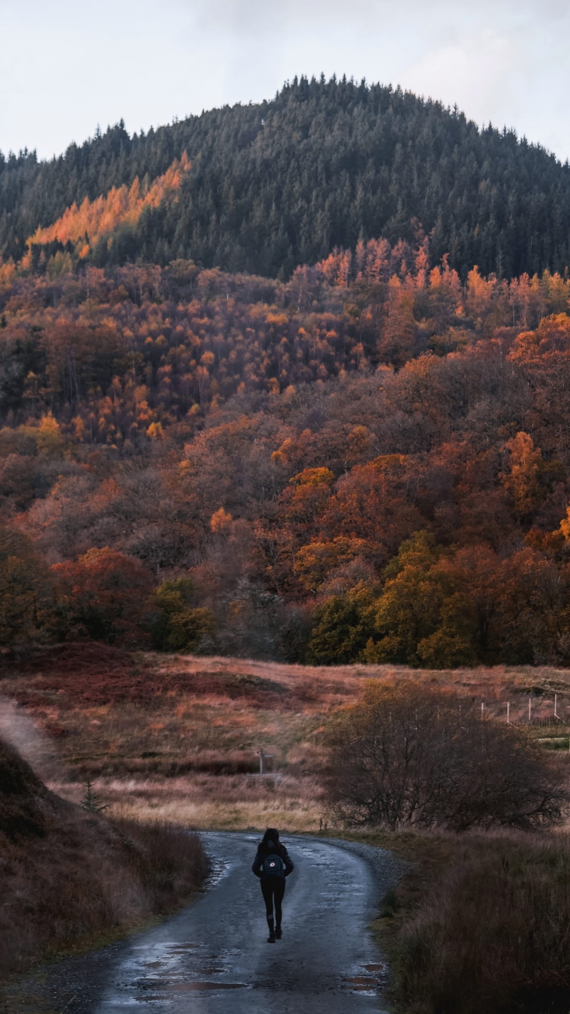 nature, united kingdom, autumn, one person, water, outdoors, road, day, scenics - nature, land, trees, change, real people, hiking, callander, forest, tranquility