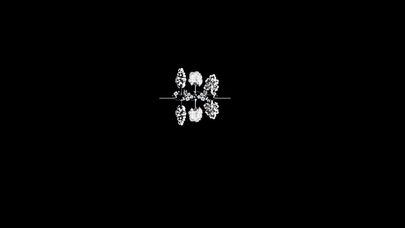simple background, contour line, minimalism, simple, 1080P, black background, trees