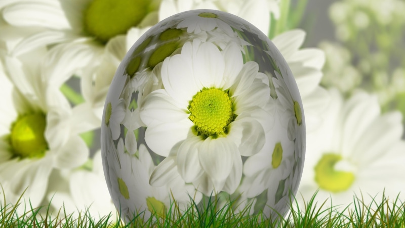 big egg, flowery, easter, 4K, easter egg
