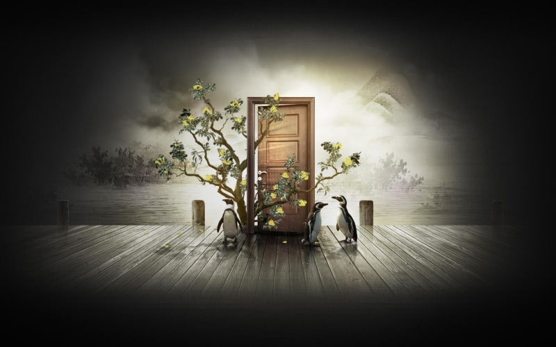 flowery, 1080P, door, tree, black, pinguoins, abstract, wooden, parquet, brown