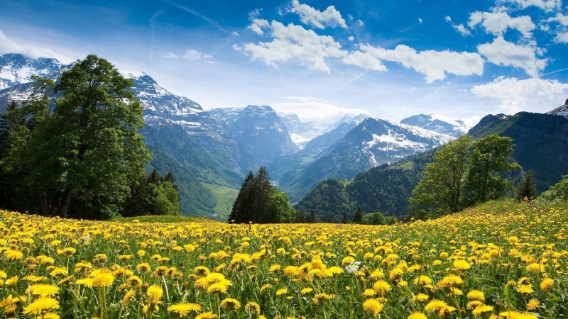 no people, cloud - sky, rural scene, land, 1080P, mountain range, tranquility, flowery meadow, nature, field, outdoors, flower, hill-side, agriculture