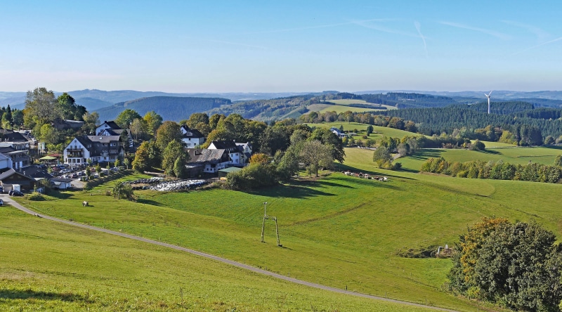 building exterior, outdoors, cattle, graze, ridge, houses, building, restaurant, field, wild meadow, tree, light, horizon, farm, hanging, autumn colours