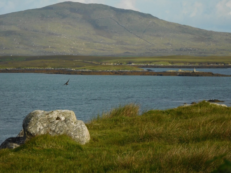 mountain, scenery, scottish, scenic, grass, north uist, landscape, water, rock - object, outdoors, nature, loch, scotland, sky, day, wildlife, no people