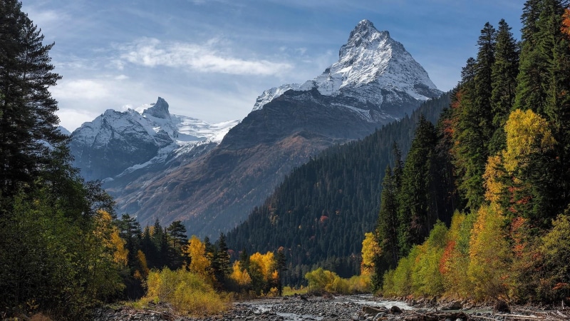 forest, dombay, land, wilderness, tranquility, tree, landscape, belakaya mountain, snowcapped mountain, slope, valley, snow, mountain range, coniferous tree