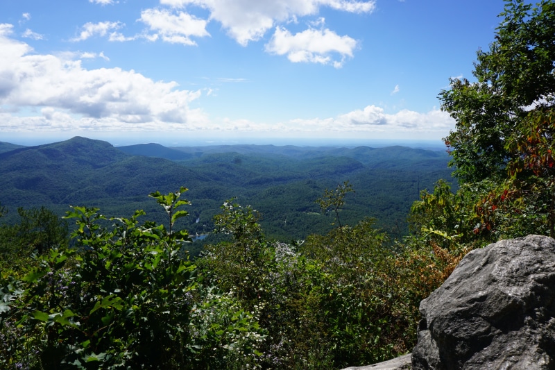 growth, highlands, north carolina, 5K, environment, nature, no people, day, cloud - sky, cliffs, tree, idyllic, green color, landscape, sky, tranquility