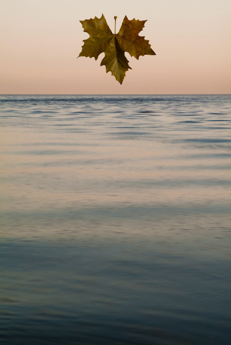 ocean, nature, outdoors, neist point, sunset, colour, waterfront, plant, marin, tree, water, tranquility, north, idyllic, horizon, horizon over water, scenics - nature