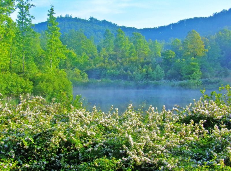 land, peaceful, plant, scenics - nature, lake, tranquil, tree, growth, scenery, mountains, sky, non-urban scene, day, landscape, environment, calm, highlands