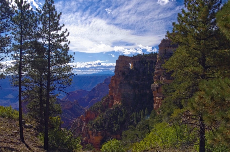nature, scenic, clouds, outdoors, window, stone, day, growth, arizona, tree, landscape, arch, rock, mountain, national, scenics - nature, forest, sky, no people