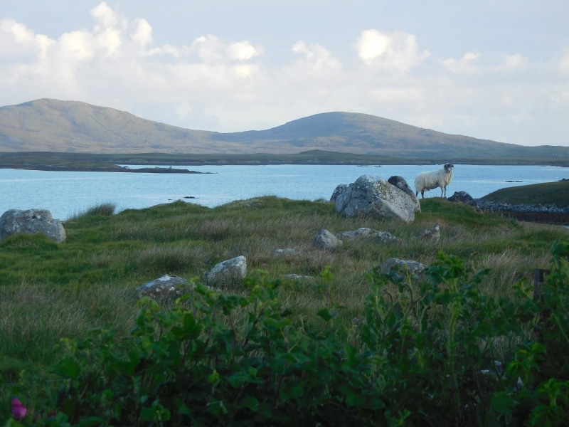highlands, no people, tranquil scene, non-urban scene, sky, day, environment, beauty in nature, grass, loch, mountain, sea, cloud - sky, nature, 4K, landscape