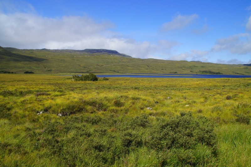 scotland, plant, environment, tranquil scene, green, mountain, united kingdom, hole, highlands, hill, no people, growth, idyllic, day, outdoors, land, peaceful