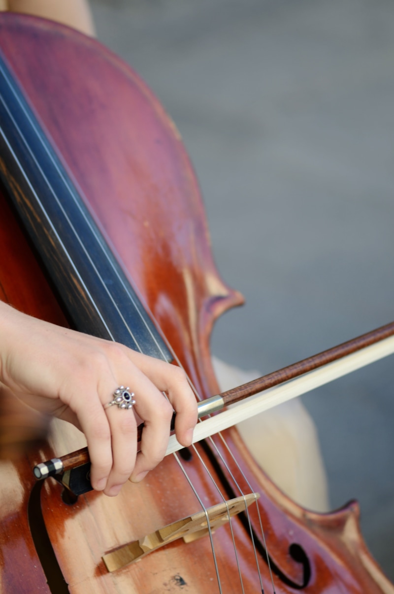instrument, viola, musical equipment, arts culture and entertainment, hand, closeup, occupation, artist, fiddle, holding, musician, orchestra instrument