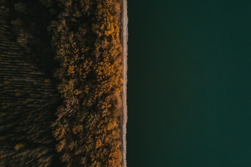 top, backgrounds, 4K, calm, golden light, high angle view, day, shore, river bank, golden hour, view, drone view, river, woodland, autumn, growth, forest