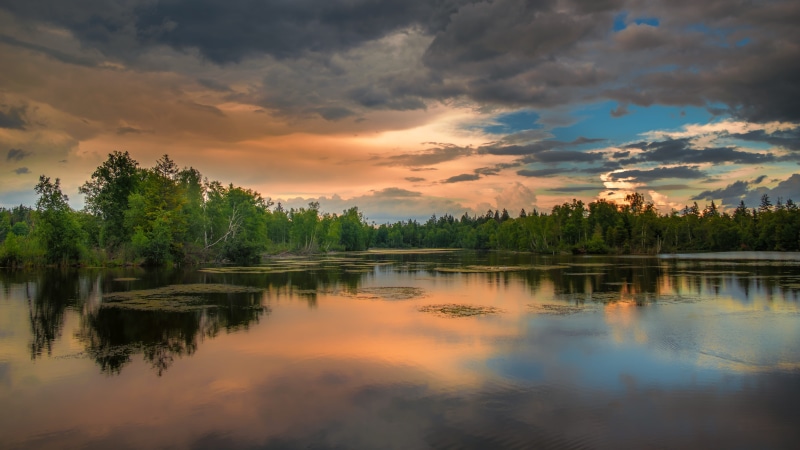body, reflection lake, hour, mirroring, botany, scenics - nature, plant, scenic, mood, moor, idyllic, landscape, nice place, atmospheric, island, leaf