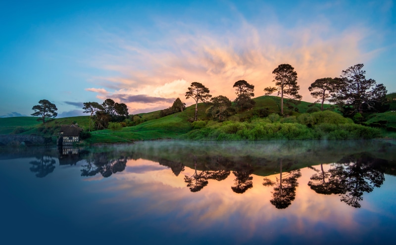 green, Gorgeous, tree, waterfront, 5K, orange color, water, Reflection, beauty in nature, trees, Calm, scenics - nature, Beautiful, tranquility, Nature