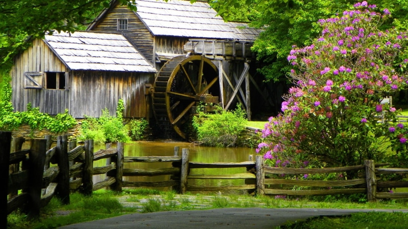 garden, park, outdoor, grass, wheel, tract, sky, house, life, plot, greenhouse, 1080P, summer, flowers, area, tree, patio, travel, structure, yard, landscape