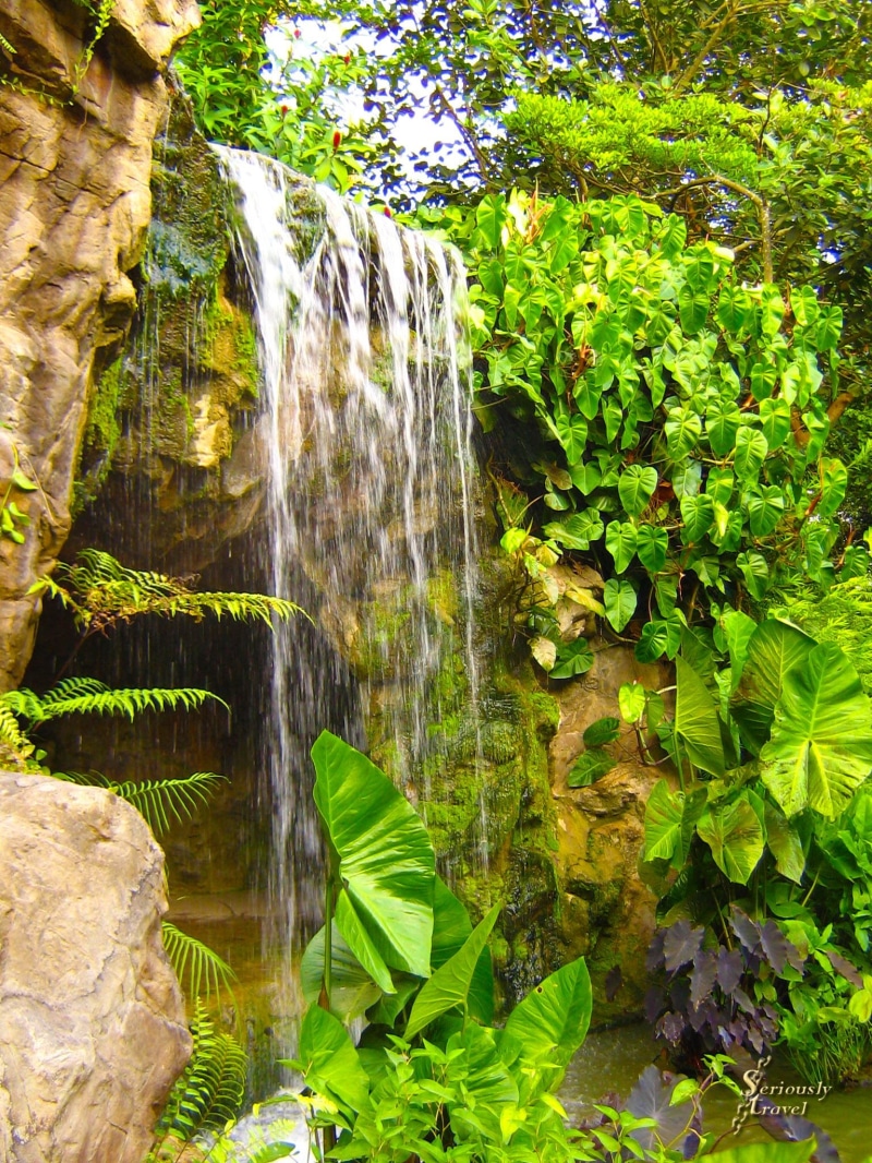 Waterfall, green color, flowing water, rainforest, lush foliage, forest, beauty in nature, day, 1080P, rock - object, Nature, Rocks, water, scenics - nature