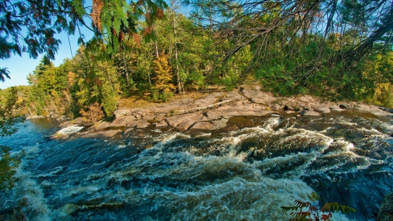 waterfront, tree, scenics - nature, flowing water, 720P, trees, grass, rock, outdoors, water, nature, tranquil scene, field, forest, beauty in nature