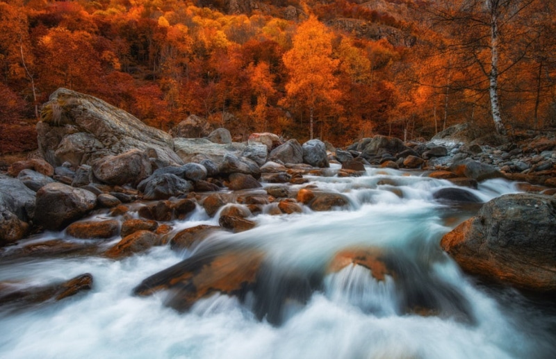 woodland, change, long exposure, photography, rapids, rock - object, water, plant, outdoors, fall, blurred motion, tree, nature, flowing water, red, motion