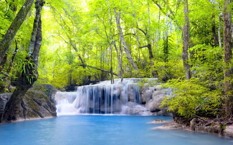 Forest, green, Trees, 2K, Summer, River, Waterfalls, tree, leafed