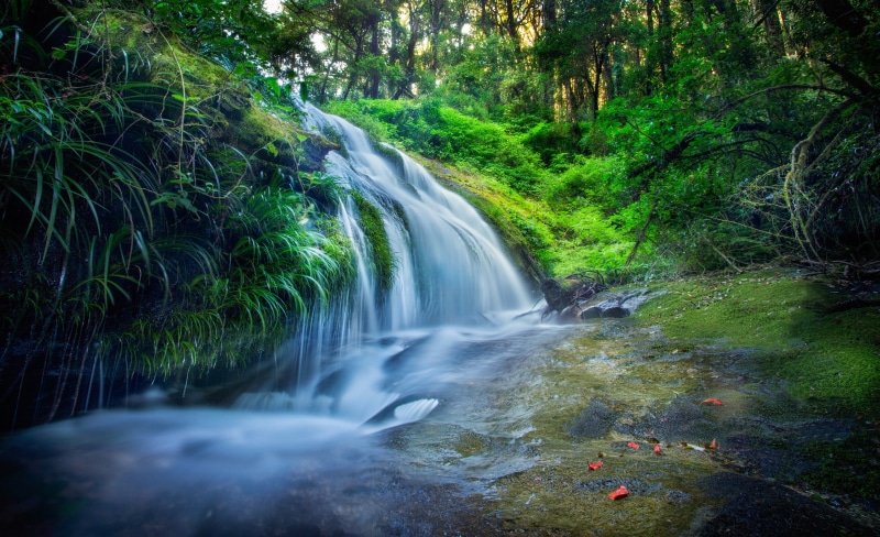 leaves, stream, cascade, trees, treatment, Thailand, river, 4K, stones, waterfall, forest