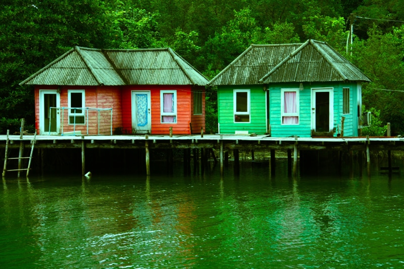 row house, cabins, jungle, wooden, dwelling, pier, cottage, 4K, landscape, no people, day, structure, nature, reflection, outdoor, built structure, small