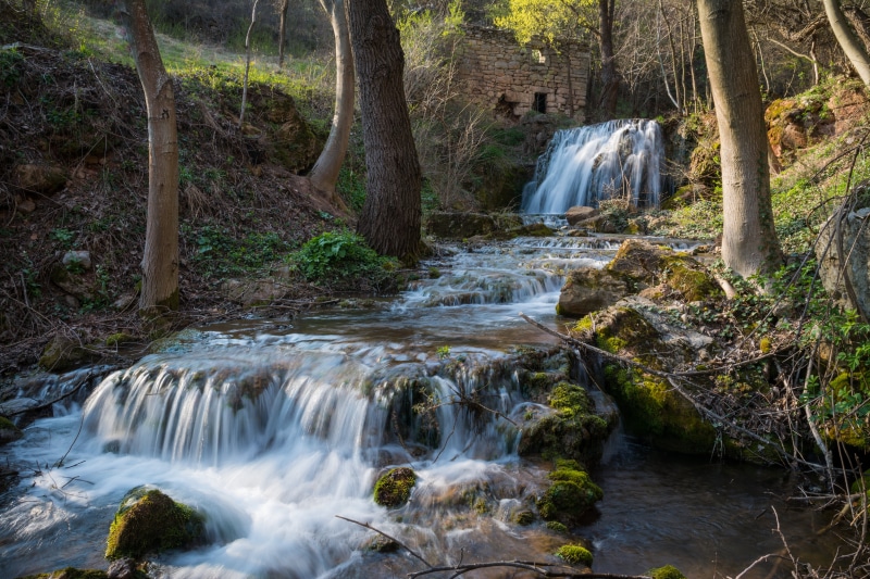 stream, forest, bridge, trees, surrounded, waterfall, falling, tree, leaf, landscape, outdoors, tropical Rainforest, flowing Water, freshness, brown, near