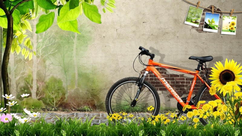 summer, bike, nature, grass, brick, 3d and abstrac, shade, ride, photos, 1080P, flowers, spring, tree, bicycle, wall
