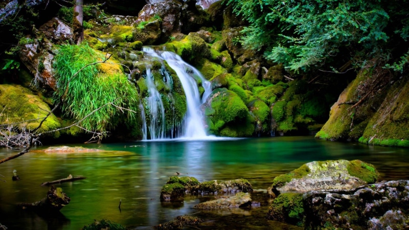 spring, 3d and abstract, trees, falls, water, 1080P, crystal