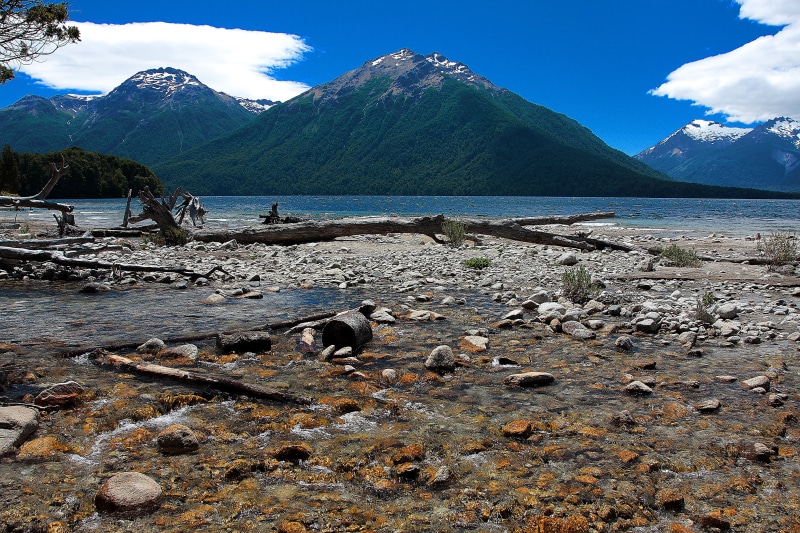 animal, vertebrate, black river, 4K, argentina, scenics - nature, beauty in nature, land, mountain peak, patagonia, water, lake, photo, sea, no people